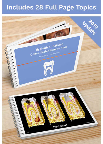 Hygienist-Patient Consultation Illustrations