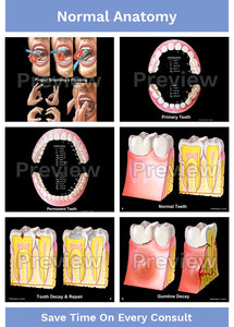 Hygienist-Patient Consultation Illustrations