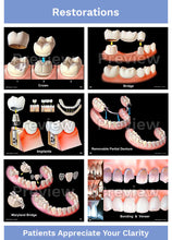 Load image into Gallery viewer, Hygienist-Patient Consultation Illustrations
