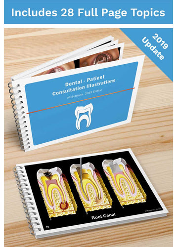 Dental-Patient Consultation Illustrations